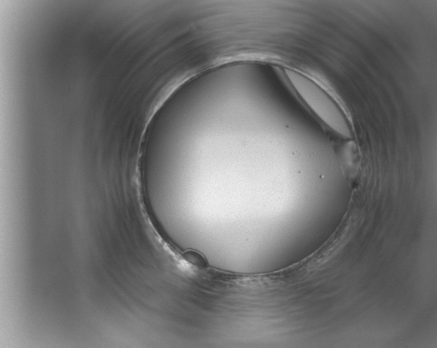 X0000067480906200604281917