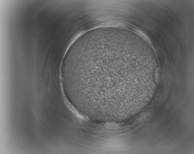 X0000067480907200604281917