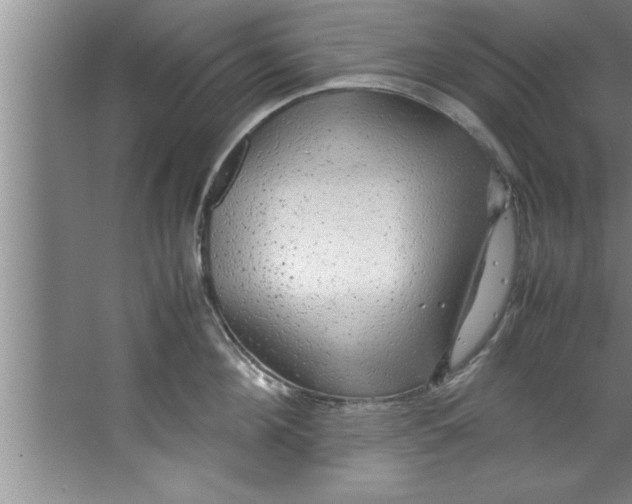 X0000067480908200604281917