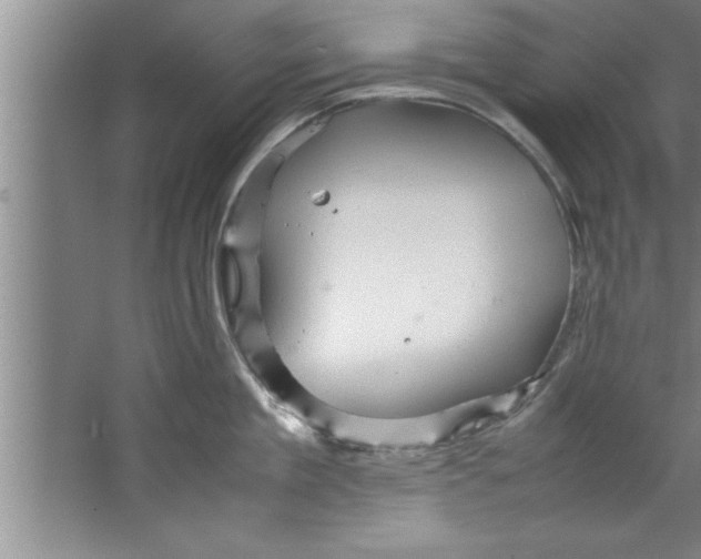 X0000067480909200604281917