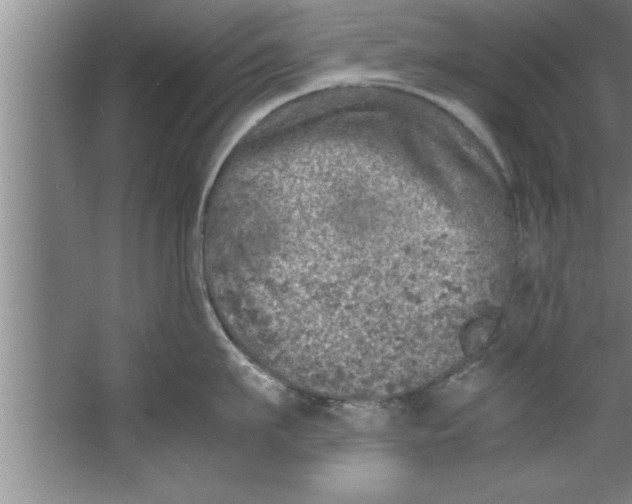 X0000067480911200604281917