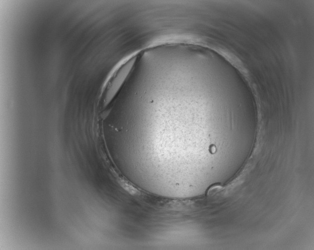 X0000067480912200604281917