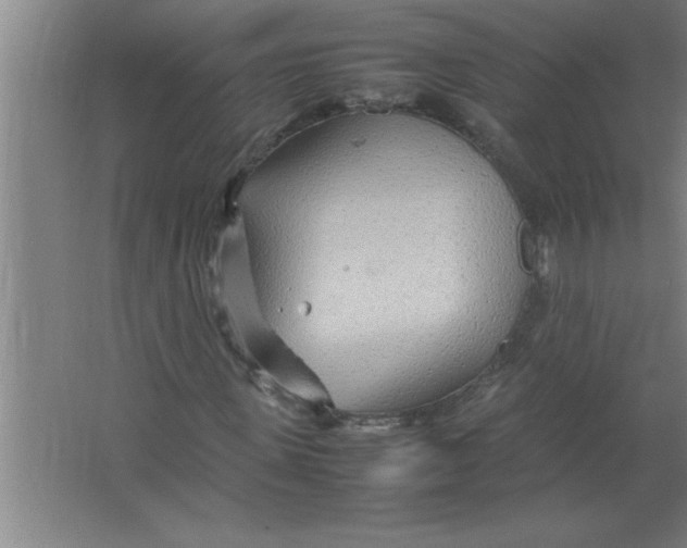 X0000067480915200604281916