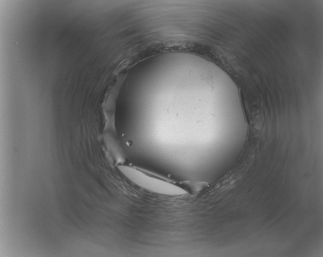 X0000067480916200604281916