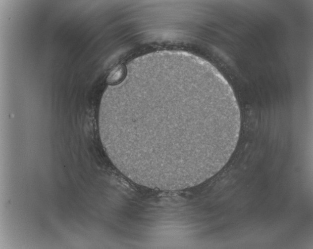 X0000067480918200604281916