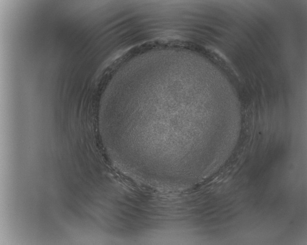 X0000067480919200604281916