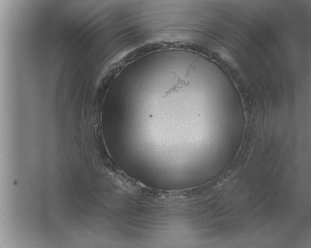 X0000067480920200604281916