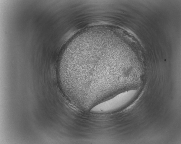 X0000067480921200604281916