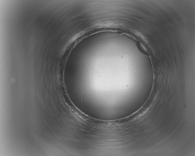 X0000067480922200604281916