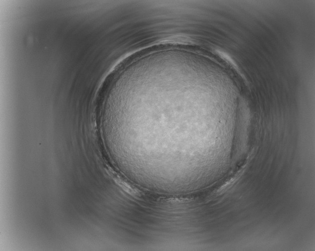 X0000067480923200604281916