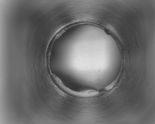 X0000067480924200604281916