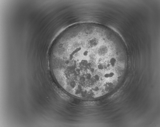 X0000067480925200604281916