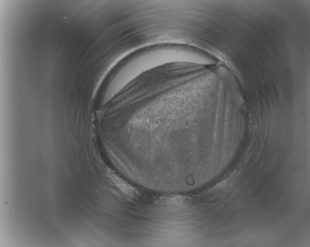 X0000067480926200604281916