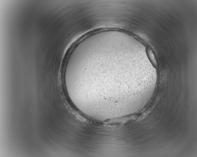 X0000067480928200604281916