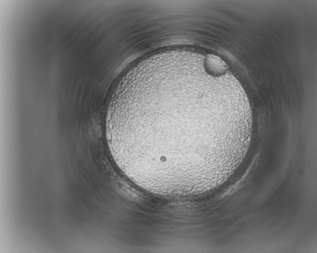 X0000067480929200604281916