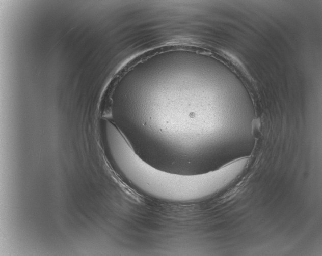 X0000067480931200604281916