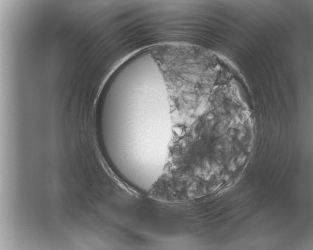 X0000067480933200604281916