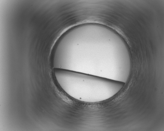 X0000067480934200604281916