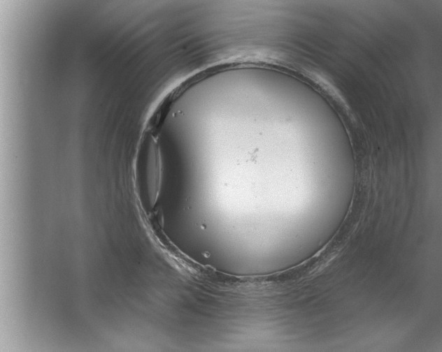 X0000067480936200604281916