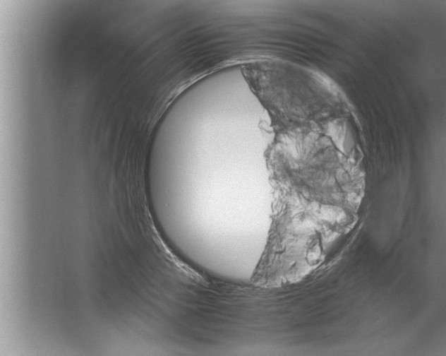 X0000067480937200604281916