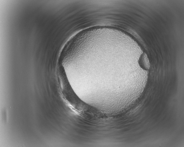 X0000067480939200604281916