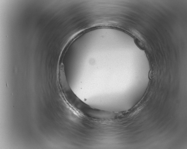 X0000067480940200604281916