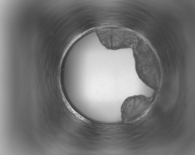 X0000067480941200604281916