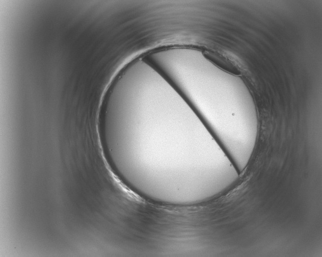 X0000067480942200604281916