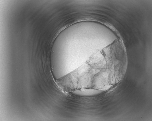 X0000067480945200604281916