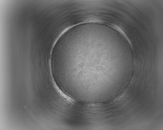 X0000067480947200604281916