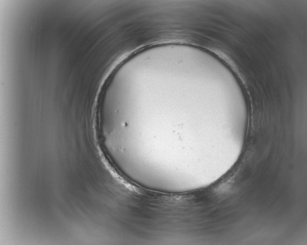 X0000067480949200604281916