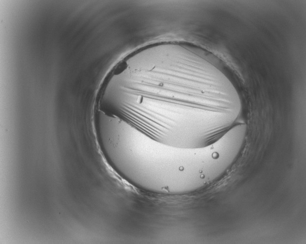 X0000067480950200604281916