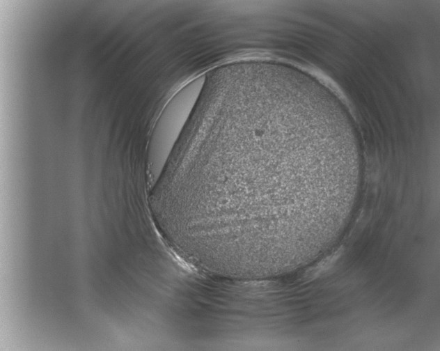 X0000067480953200604281917