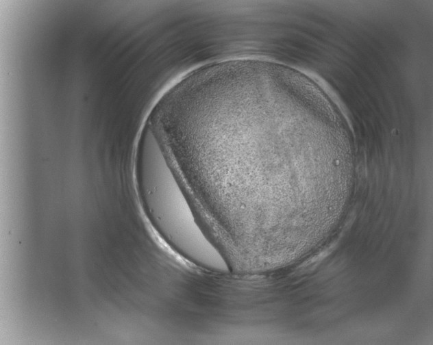 X0000067480957200604281917