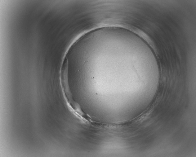 X0000067480958200604281917