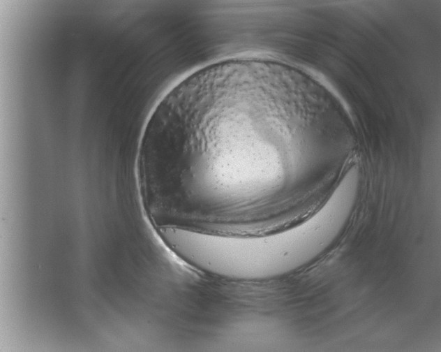 X0000067480959200604281917