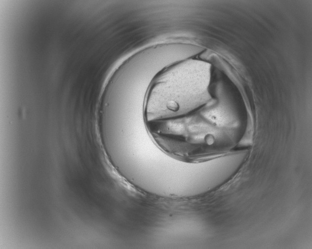 X0000067480960200604281917