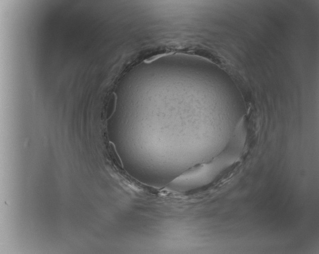 X0000067480961200604281916