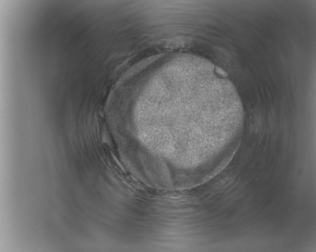 X0000067480962200604281916