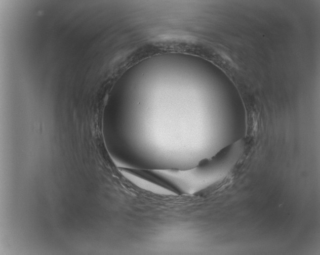 X0000067480965200604281916