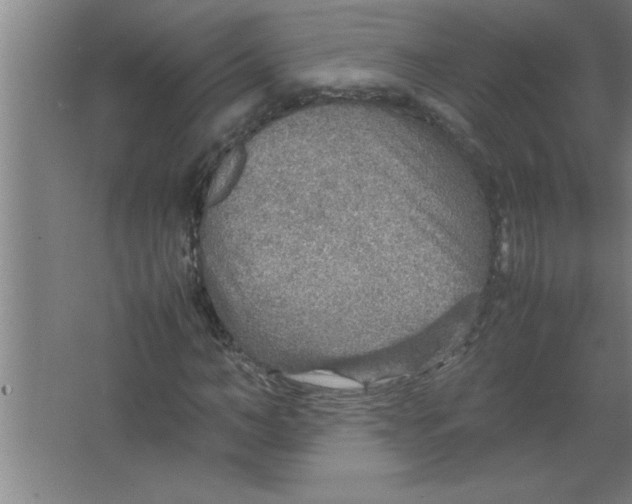 X0000067480966200604281916