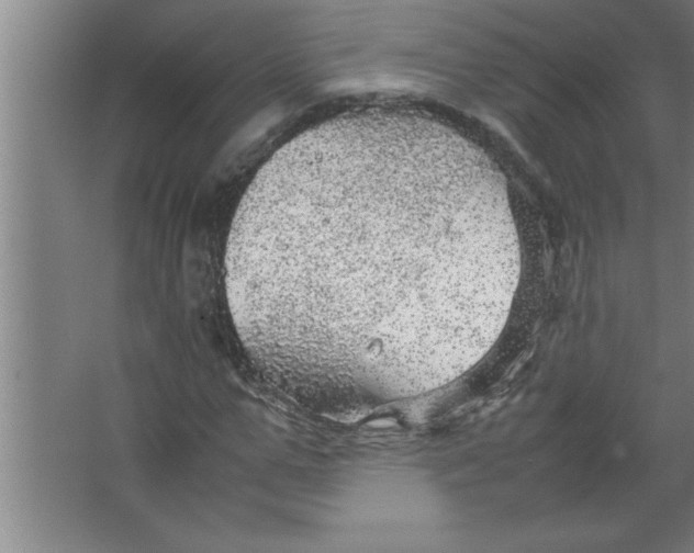 X0000067480967200604281916