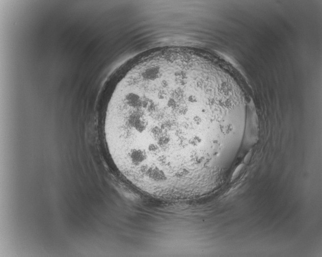 X0000067480971200604281916