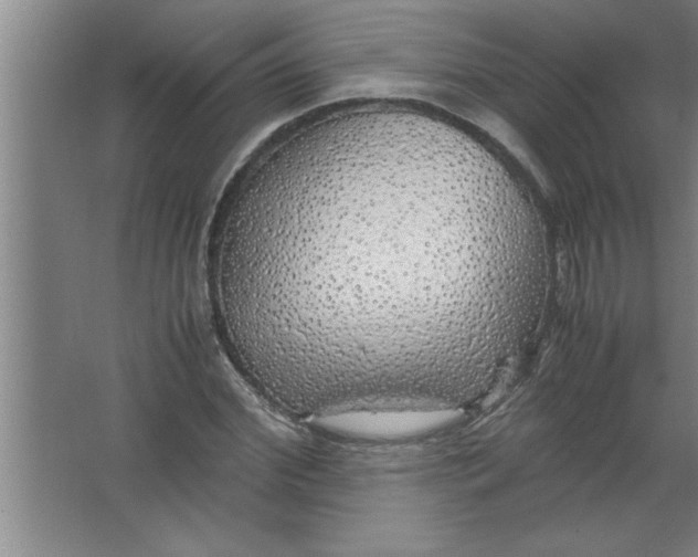 X0000067480972200604281916