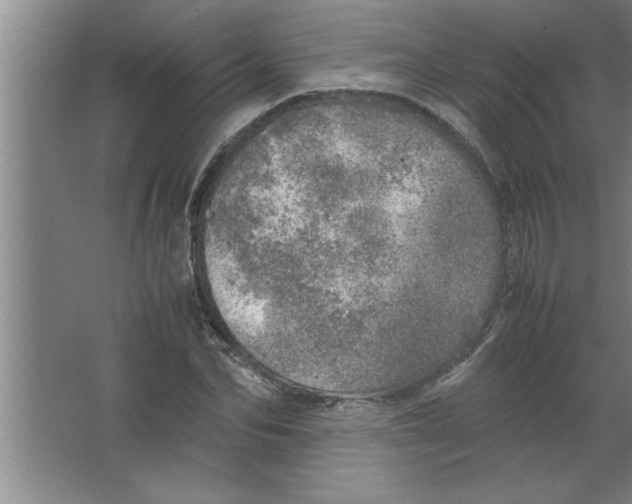 X0000067480974200604281916