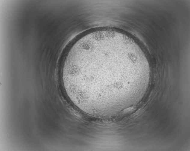 X0000067480975200604281916