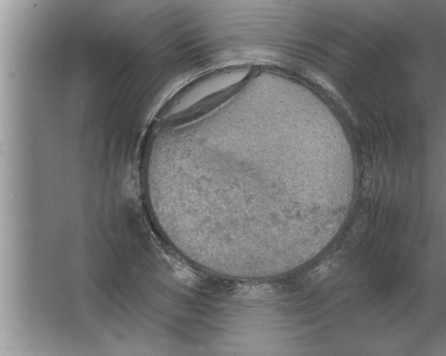 X0000067480978200604281916