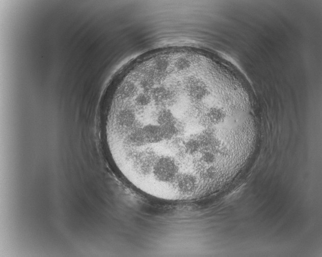 X0000067480979200604281916