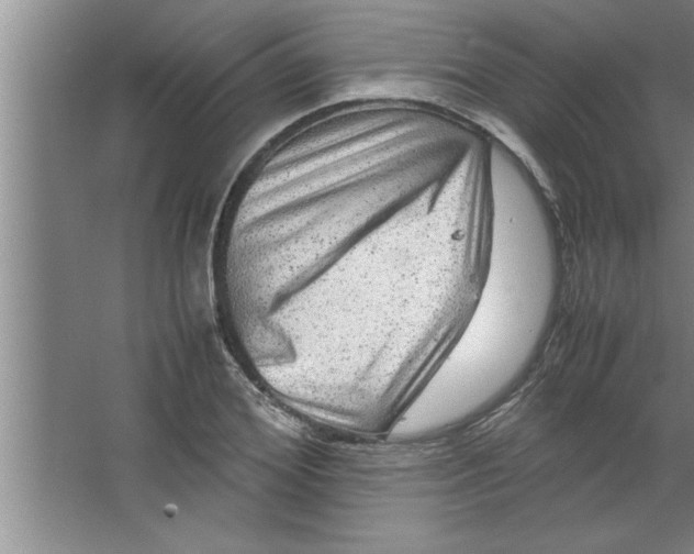 X0000067480980200604281916