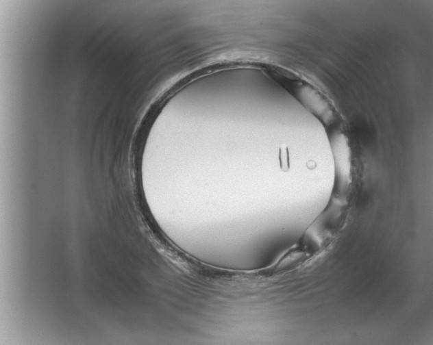 X0000067480981200604281915